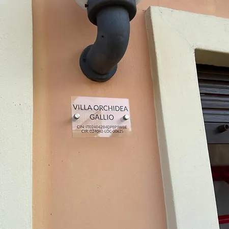 Orchidea Gallio
